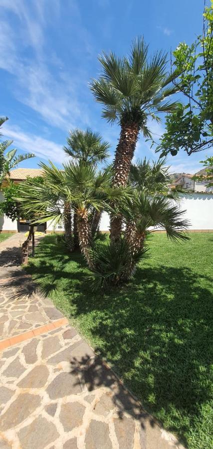 Villa Marianna Con Piscina Privata Ampi Spazi Esterni E Wifi Free เทรเบีย ภายนอก รูปภาพ